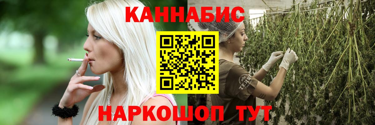Шишки марихуана конопля Щёлково